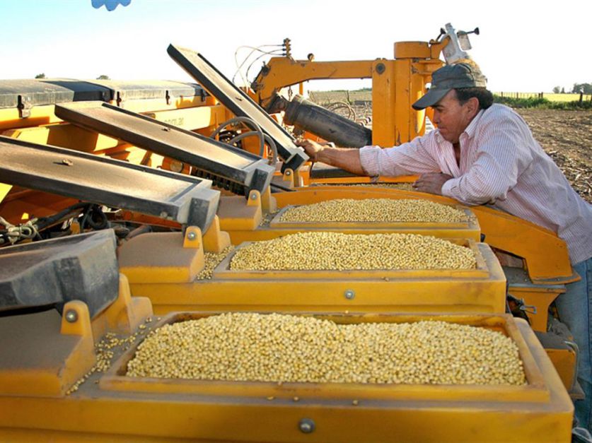 Resultado de imagen para EE.UU. pedirá a Argentina agilizar la aprobación para patentar semillas