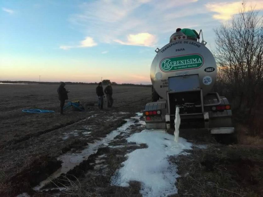 Increíble video, ahora tiraron 21 mil litros de leche