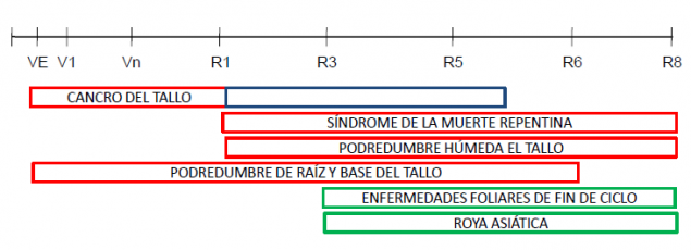 Cuadro soja enfermedades
