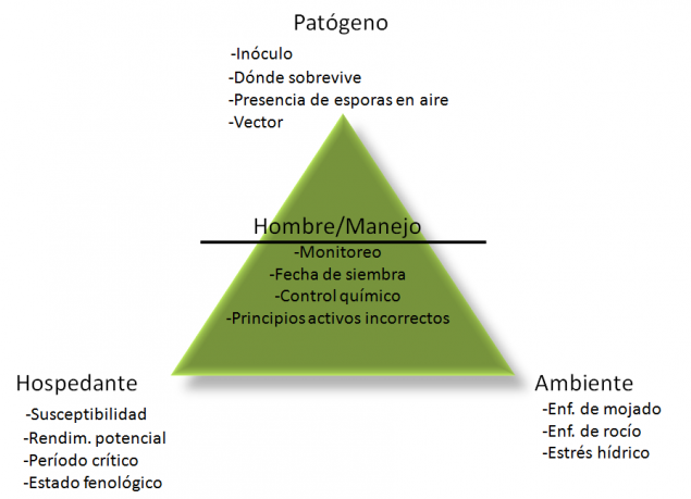 Triangulo enfermedad
