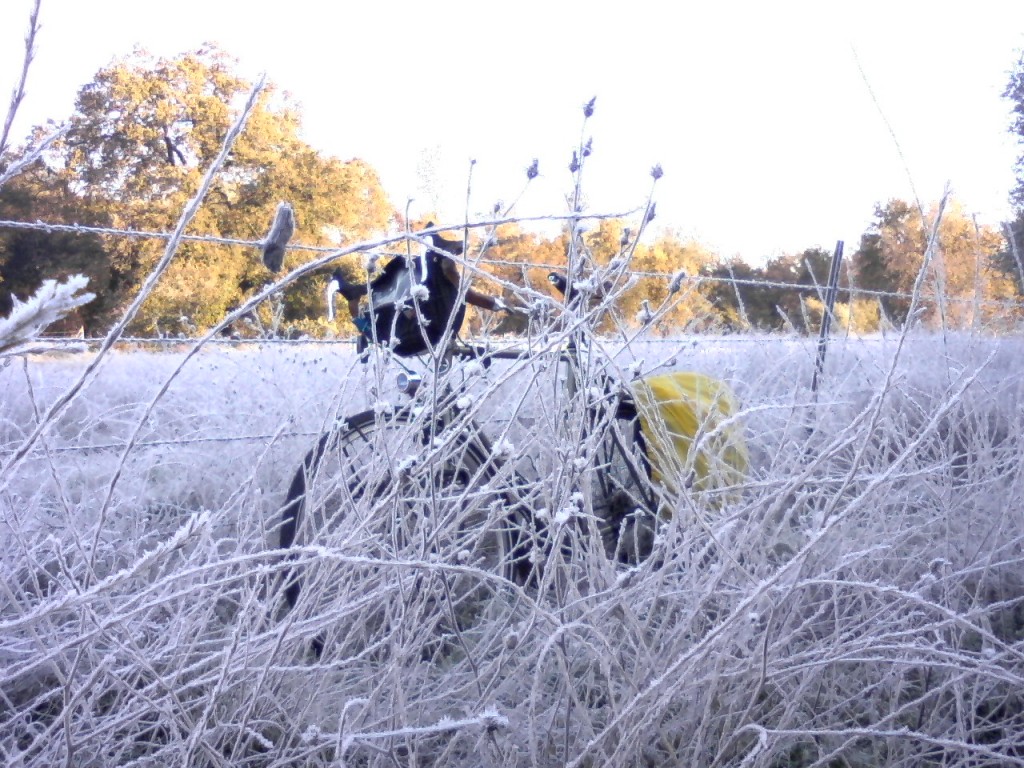 Gélido invierno: impactantes escenas de heladas extremas en el campo argentino