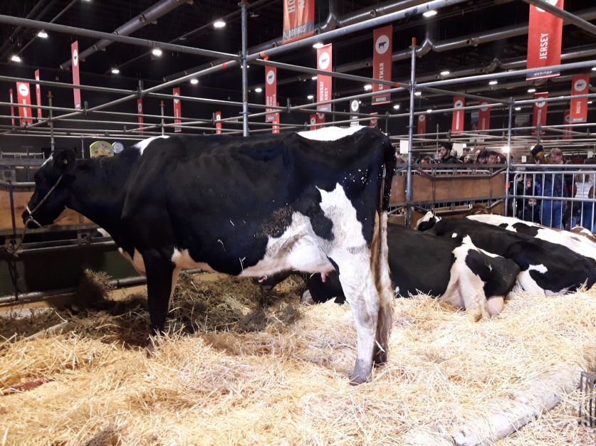 5b5629ad99a4f_837_627!