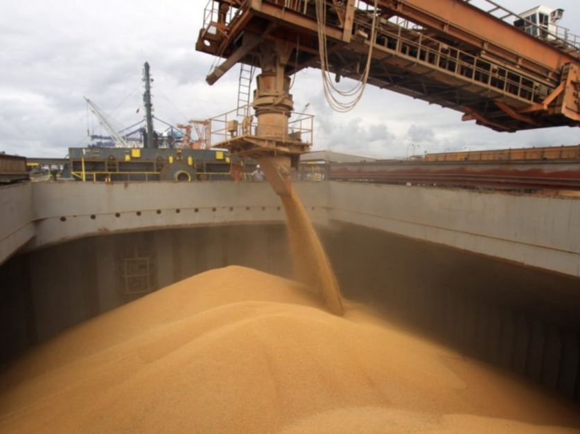 Los agroexportadores liquidaron en enero casi 2.500 millones de dólares -  Revista Chacra
