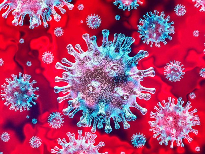 Coronavirus " Una molécula usada en lácteos inhibiría al coronavirus " - Revista Chacra