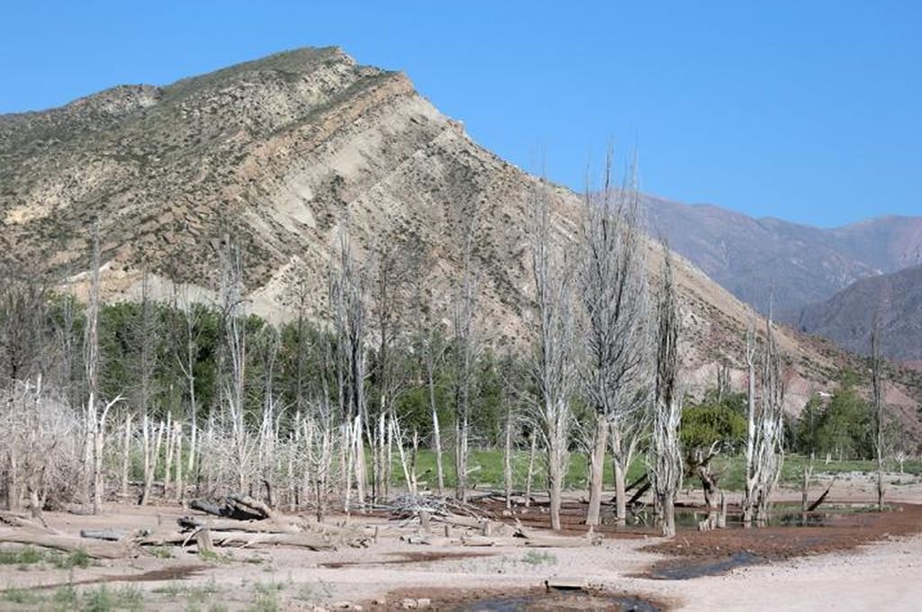 Nación homologó la emergencia agropecuaria en Santa Fe y Mendoza