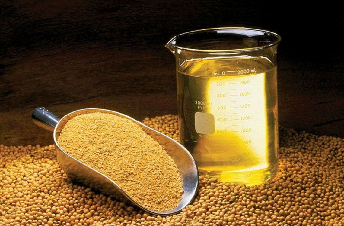 Argentina volverá a ser el principal proveedor de harina y aceite de soja a  nivel mundial - Revista Chacra