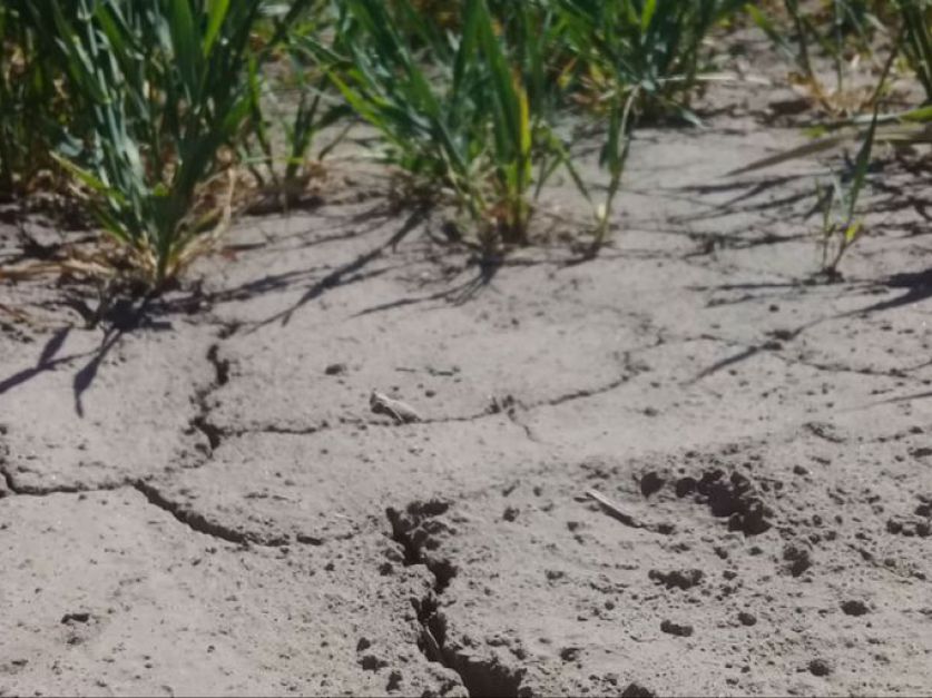 Aprueban perfiles de proyecto de mitigación de riesgos ambientales en Misiones por $920 millones