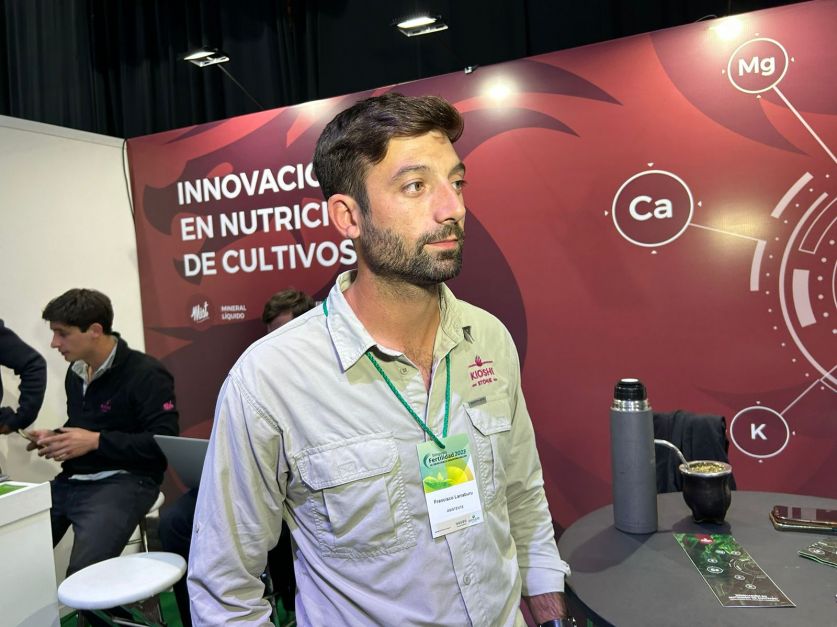 A causa de la sequ a han aflorado sales en lotes que eran