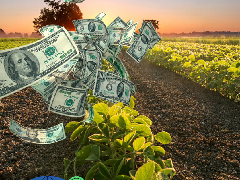 64f70d8a29df8_837_627!