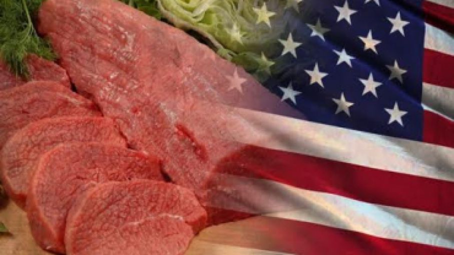 Argentina renueva criterios para la exportación de carne bovina a EE.UU. - Revista Chacra