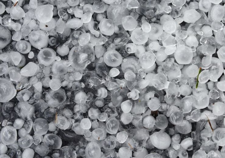 Declaran la emergencia agropecuaria por granizo en Entre Ríos