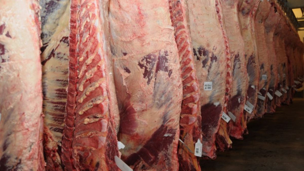 Habilitan la inscripción para la cuota de carne vacuna a Estados Unidos del  ciclo 2026 - Revista Chacra