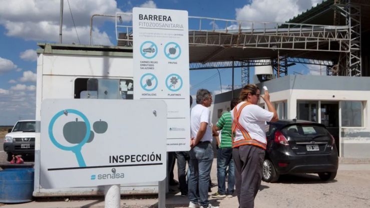 La Justicia suspendió la norma que permitía el ingreso de carne con hueso a la Patagonia