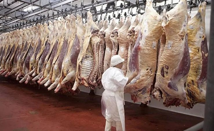 Asignan casi 20 mil toneladas del cupo de carne vacuna a EE. UU. para el ciclo 2026