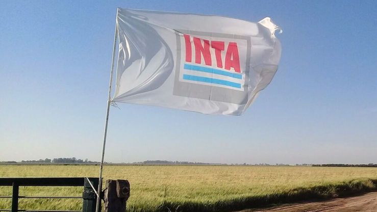 Avanza el ajuste en el INTA: cierran 14 agencias de extensión rural