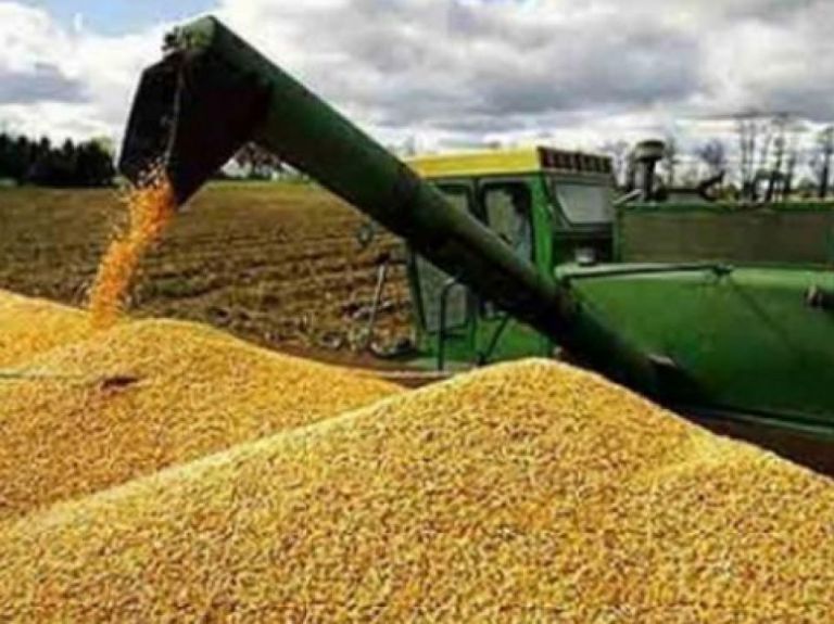 Seis de cada diez dólares exportados en 2025 provinieron del agro