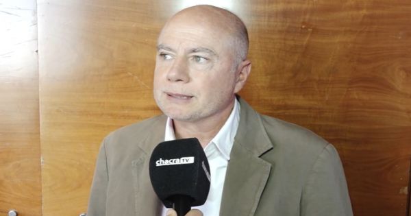 Jorge Bassi: “El rendimiento de los cultivos está estrechamente relacionado con la disponibilidad de los nutri – Revista Chacra