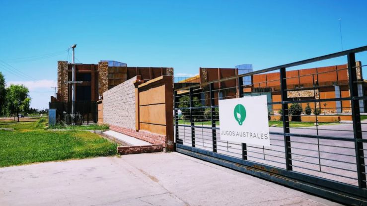 Golpe judicial sacude a la industria vitivinícola: condenan a pagar más de 16 millones de dólares 