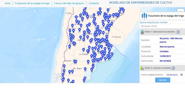 El INTA desarrolla modelos de pronóstico para anticipar la fusariosis y proteger la calidad del trigo