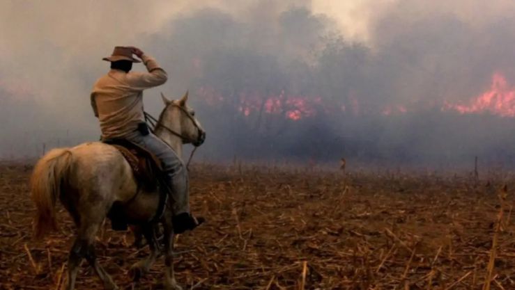 La Pampa bajo el fuego: más de 83 mil hectáreas arrasadas y tres focos aún activos