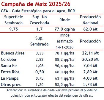 El maíz apunta a un récord de 62 Mt, con mejores lluvias pero dudas en los rindes tempranos