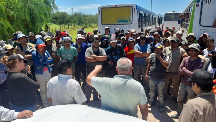 Sin acuerdo salarial, advierten que peligra la producción de aceitunas