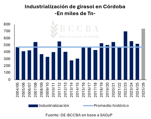 El girasol también rompe récords en Córdoba