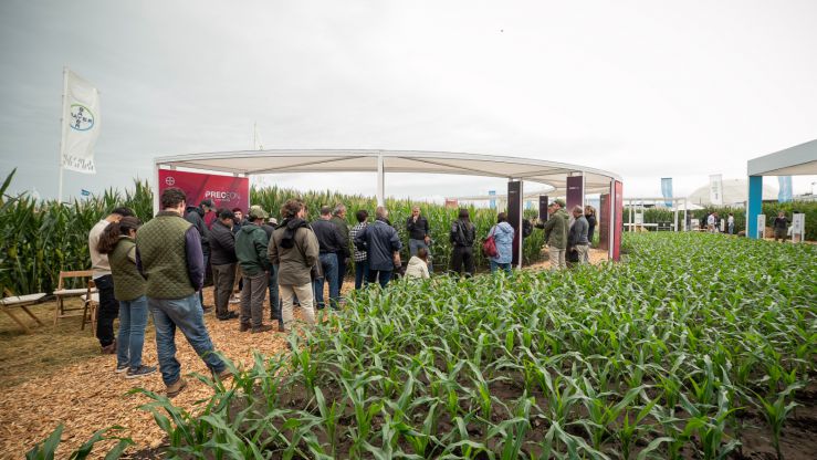 Más rendimiento sin más hectáreas: la tecnología que apunta a reducir la brecha productiva