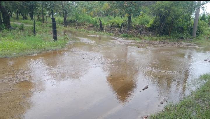Inundaciones históricas en Tucumán: alerta por pérdidas productivas