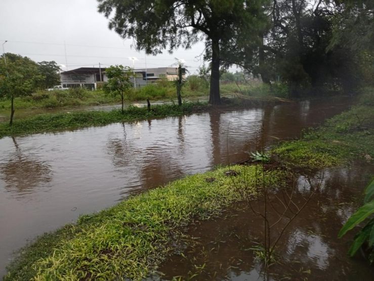 Inundaciones históricas en Tucumán: alerta por pérdidas productivas