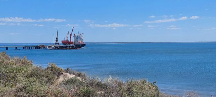 Se cortó la cadena frutícola: Un paro empresario deja sin camiones al puerto de San Antonio Este