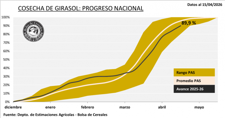 El maíz subió su apuesta y proyectó 61 millones de toneladas en plena cosecha