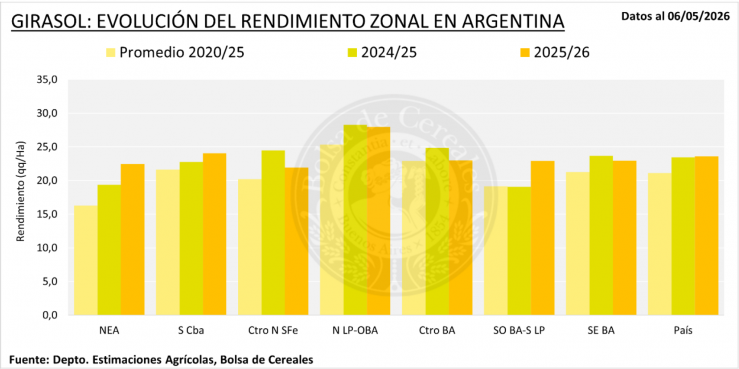 El girasol cerró una campaña histórica con récord de área, rinde y producción